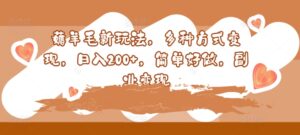 薅羊毛新玩法，多种方式变现，日入200+，简单好做，副业变现-中创网_分享创业项目_助您在家赚钱