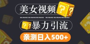 搬运tk美女视频全网分发，日引s粉300+，轻松变现，不限流量不封号【揭秘】-中创网_分享创业项目_助您在家赚钱