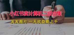 (12228期)小红书卖计算机二级合集,发发图片 一天收益能上千-中创网_分享创业项目_助您在家赚钱