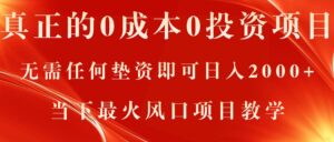 (11387期)真正的0成本0投资项目,无需任何垫资即可日入2000+,当下最火风口项目教学-中创网_分享创业项目_助您在家赚钱