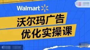 沃尔玛超市广告销售实操课，广告宣传汇报实际操作解读，广告宣传怎样提高转化ROAS等-中创网_分享创业项目_助您在家赚钱