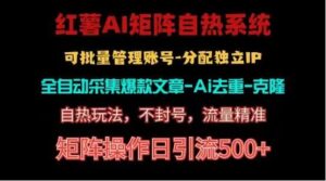 红薯矩阵自热系统,独家不死号引流玩法!矩阵操作日引流500+-中创网_分享创业项目_助您在家赚钱