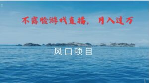 不露脸不出镜，玩转找茬游戏，普通人实现月入过万的好项目-中创网_分享创业项目_助您在家赚钱