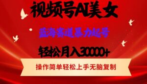 （12178期）视频号AI美女跳舞，轻松月入30000+，蓝海赛道，流量池巨大，起号猛，当…-中创网_分享创业项目_助您在家赚钱