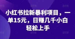 小红书拉新暴利项目,一单15元,日赚几千小白轻松上手【揭秘】-中创网_分享创业项目_助您在家赚钱