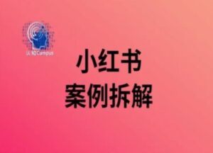 小红书案例拆解，深度解读小红书40万粉-中创网_分享创业项目_助您在家赚钱