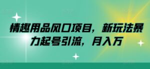 情趣用品风口项目，新玩法暴力起号引流，月入万-中创网_分享创业项目_助您在家赚钱