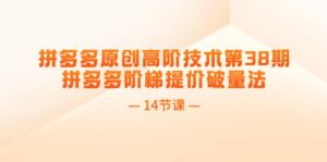 拼多多平台原创设计高级技术性第38期,拼多多平台台阶涨价破量法(14堂课)-中创网_分享创业项目_助您在家赚钱