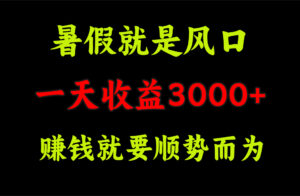 (11670期)一天收益3000+ 赚钱就是顺势而为,暑假就是风口-中创网_分享创业项目_助您在家赚钱