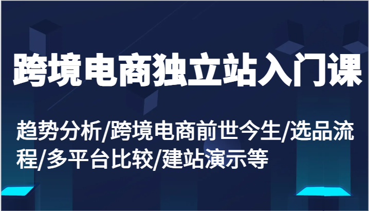 跨境电商电商独立站新手入门课：变化趋势/跨境电子商务来世今生/选款步骤/全平台较为/建网站演试等-中创网_分享创业项目_助您在家赚钱
