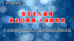 （11483期）七月份淘宝无人直播最新玩法，入场即吃肉，真正实现躺着也能赚钱-中创网_分享创业项目_助您在家赚钱