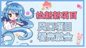（11613期）拉新界的新玩法，风口项目，看完就会，动手就有-中创网_分享创业项目_助您在家赚钱