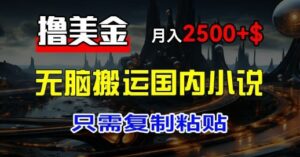 最新撸美金项目：搬运国内小说爽文，只需复制粘贴，月入2k+美金-中创网_分享创业项目_助您在家赚钱