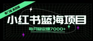 小红书蓝海项目，零门槛、高回报，每月稳定赚7000+-中创网_分享创业项目_助您在家赚钱