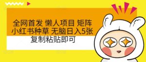 全网首发 懒人项目 矩阵小红书种草 无脑日入5张 复制粘贴即可-中创网_分享创业项目_助您在家赚钱
