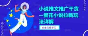 小说推文推广干货—蛋花小说拉新玩法详解-中创网_分享创业项目_助您在家赚钱