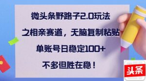 （12763期）微头条野路子2.0玩法之相亲赛道，无脑复制粘贴，单账号日稳定100+，不…-中创网_分享创业项目_助您在家赚钱