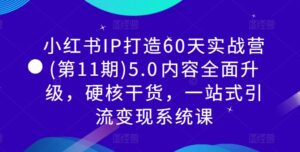 小红书IP打造60天实战营(第11期)5.0内容全面升级,硬核干货,一站式引流变现系统课-中创网_分享创业项目_助您在家赚钱