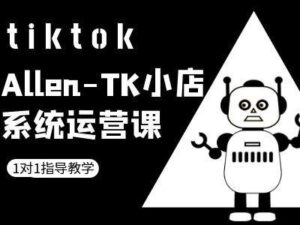 TK小店系统运营课-tiktok跨境电商教程-中创网_分享创业项目_助您在家赚钱