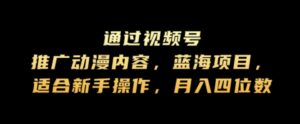 通过视频号推广动漫内容，蓝海项目，适合新手操作，月入四位数-中创网_分享创业项目_助您在家赚钱