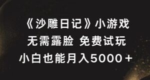 《沙雕日记》小游戏,无需露脸免费试玩,小白也能月入5000+【揭秘】-中创网_分享创业项目_助您在家赚钱