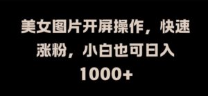 美女图片开屏操作，快速涨粉，小白也可日入1k【揭秘】-中创网_分享创业项目_助您在家赚钱