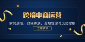跨境电商运营:财务进阶、财税筹划、合规管理与风险控制-中创网_分享创业项目_助您在家赚钱