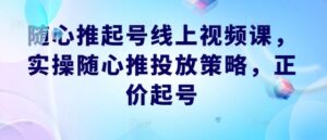 随心推起号线上视频课,实操随心推投放策略,正价起号-中创网_分享创业项目_助您在家赚钱