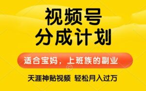 视频号分成计划,天涯贴视频,赚收益,轻松月入过万,操作简单,适合宝妈,上班族-中创网_分享创业项目_助您在家赚钱