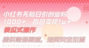 小红书无脑每日引流创业粉500+,小白每天只花半小时,躺赚长尾收益【揭秘】-中创网_分享创业项目_助您在家赚钱