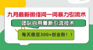 (12735期)九月最新微信问一问暴力引流术,团队自用引流术,每天稳定300+创…-中创网_分享创业项目_助您在家赚钱