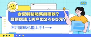 会复制粘贴就能搞钱?最新玩法,1天产出2465元?不用剪辑也能上手-中创网_分享创业项目_助您在家赚钱