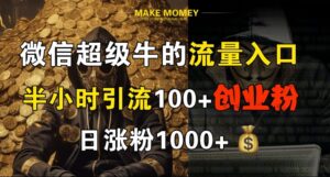 微信超级牛的流量入口,半小时引流100+创业粉,日涨粉1000+-中创网_分享创业项目_助您在家赚钱