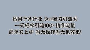 Soul暴力引流术，一天轻松引流100+精准流量，简单易上手 当天操作当天见效果!-中创网_分享创业项目_助您在家赚钱