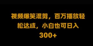 视频号零门槛，爆火视频搬运后二次剪辑，轻松达成日入1k【揭秘】-中创网_分享创业项目_助您在家赚钱