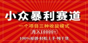 (12756期)视频号最新爆火赛道,三种可收益模式,0粉新号条条原创条条热门 日入1000+-中创网_分享创业项目_助您在家赚钱