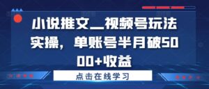 小说推文—视频号玩法实操，单账号半月破5000+收益-中创网_分享创业项目_助您在家赚钱