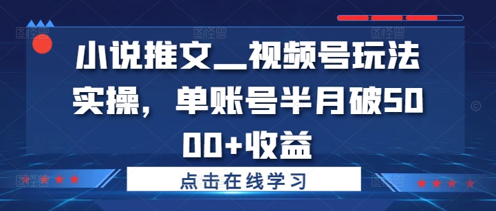 小说推文—视频号玩法实操，单账号半月破5000+收益-中创网_分享创业项目_助您在家赚钱