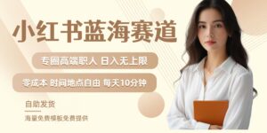 小红书蓝海赛道,圈中高端职场人,月入无上限,可矩阵,内含私域实操教程!-中创网_分享创业项目_助您在家赚钱