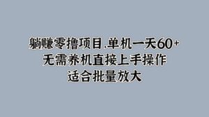 躺赚零撸项目,单机一天60+,无需养机直接上手操作,适合批量放大-中创网_分享创业项目_助您在家赚钱