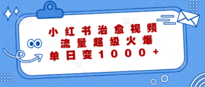 (12707期)小红书治愈视频,流量超级火爆,单日变现1000+-中创网_分享创业项目_助您在家赚钱