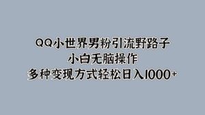 QQ小世界男粉引流野路子，小白无脑操作，多种变现方式-中创网_分享创业项目_助您在家赚钱