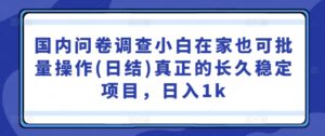 国内问卷调查小白在家也可批量操作(日结)真正的长久稳定项目，日入1k【揭秘】-中创网_分享创业项目_助您在家赚钱