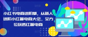 小红书电商进阶版,从新人进阶小红薯电商大佬,全方位玩透红薯电商-中创网_分享创业项目_助您在家赚钱