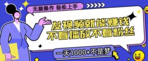 无脑操作，发视频就能赚钱，不看播放不看粉丝，小白轻松上手-中创网_分享创业项目_助您在家赚钱