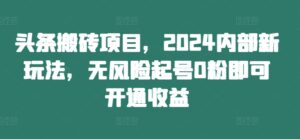 头条搬砖项目,2024内部新玩法,无风险起号0粉即可开通收益-中创网_分享创业项目_助您在家赚钱
