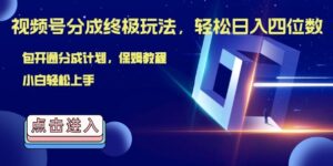 视频号分成终极玩法，日入几张，绝对的风口项目，小白也能轻松上手-中创网_分享创业项目_助您在家赚钱
