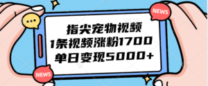 （12549期）指尖宠物视频，1条视频涨粉1700，单日变现5000+-中创网_分享创业项目_助您在家赚钱