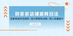 拼多多店铺矩阵玩法:低客单自然流矩阵 / 轻付费矩阵 动销 / 核心权重提升-中创网_分享创业项目_助您在家赚钱