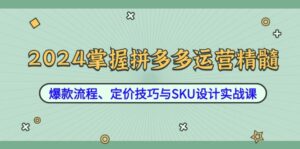 (12703期)2024掌握拼多多运营精髓:爆款流程、定价技巧与SKU设计实战课-中创网_分享创业项目_助您在家赚钱